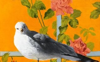 <strong>Bird inside: gull</strong> <span class="dims">24x18”</span> oil on linen